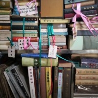 上海怀旧堂老线装书专业收购免费评估咨询