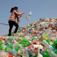 上海青浦废塑料回收价格