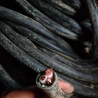 成都报废电线电缆（蜀川回收）高价收购