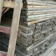 滁州琅琊废旧木材回收价格行情多少钱1吨（木材回收）