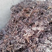 平阴废铜电缆回收多少钱一吨-济南好价回收废铜