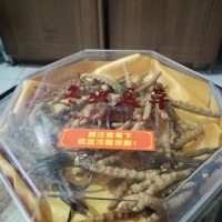 北京冬虫夏草回收价格查询网，北京冬虫夏草回收多少钱克？