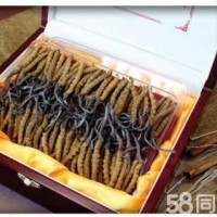 北京冻干松茸回收 松茸回收 鹿茸回收价格一览一览表