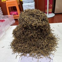 上海散装虫草回收公司提供每日虫草回收行报情价