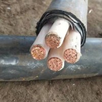 品牌电缆回收 湖州报废电缆铜电缆收购 咨询方式