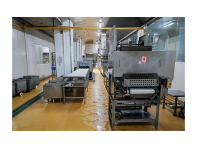 日本AIHO株式会社制造原装进口米饭生产线设备处理