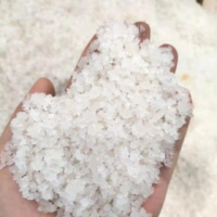 大量融雪剂工业盐处理