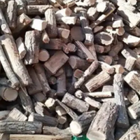 一批干木材啄木段处理