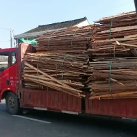 厂里每天五六十吨木料处理